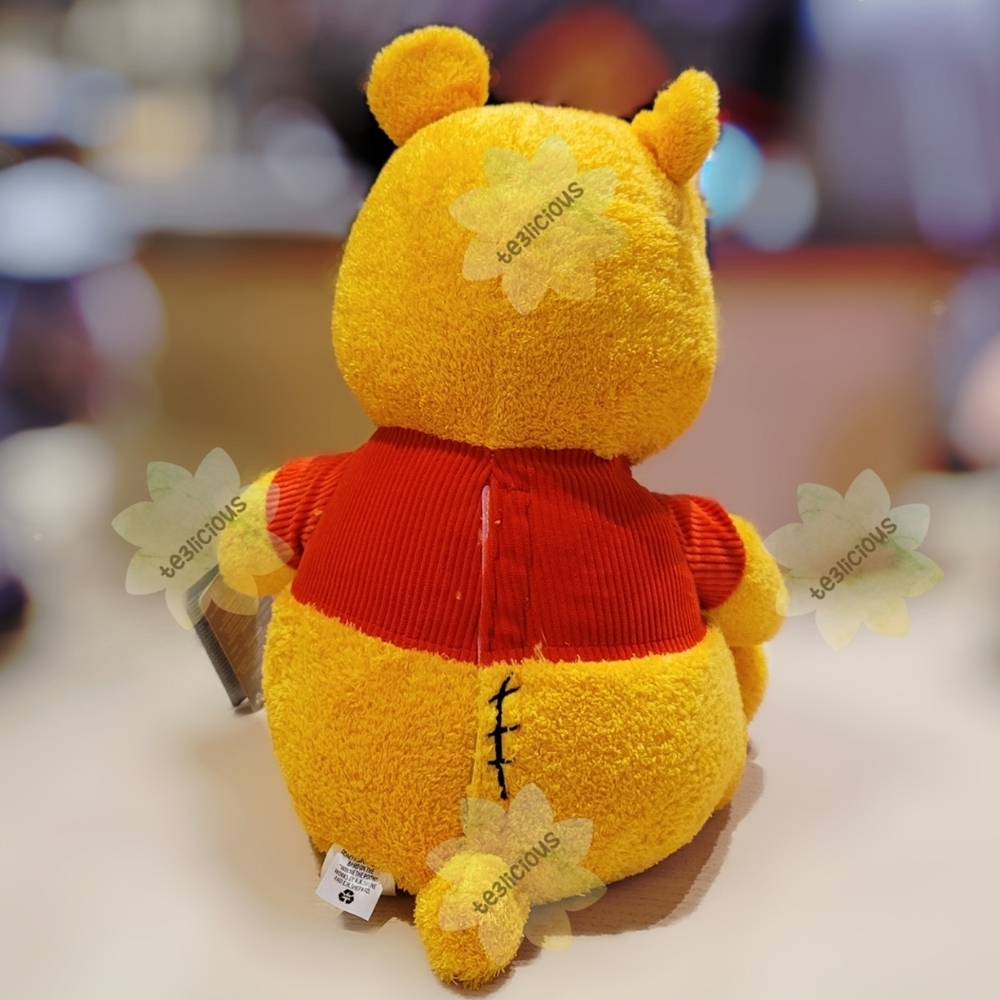 DISNEY PARKS POOH EMOTIONAL WEIGHTED PLUSH - Picture 5 of 6